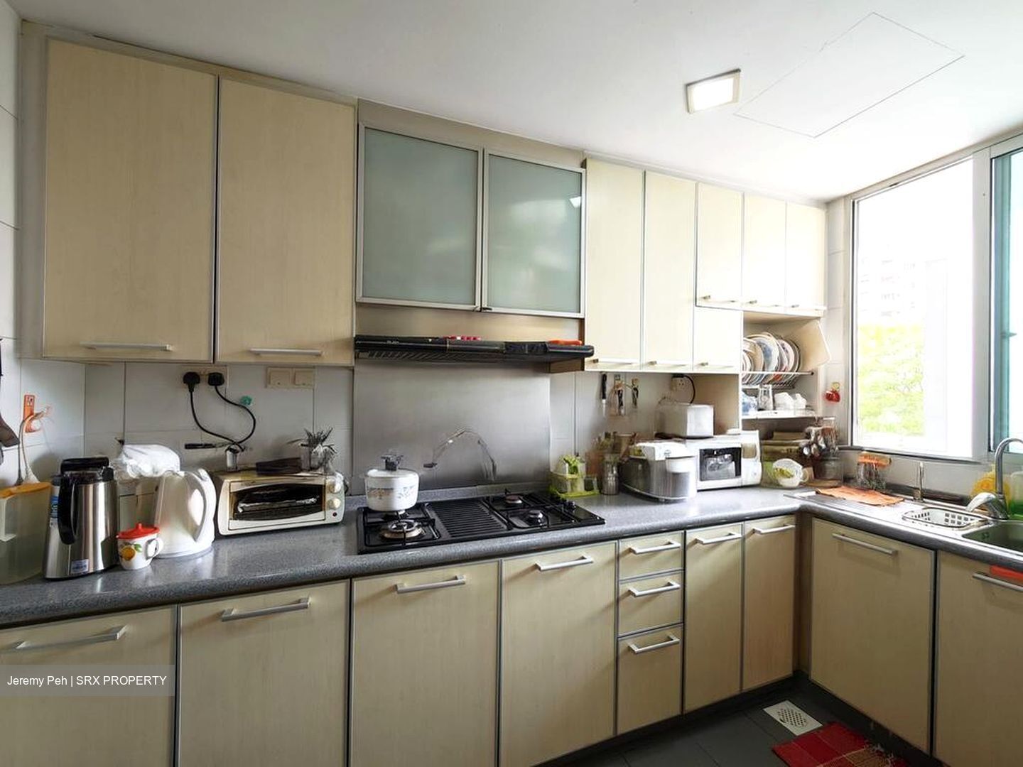 Park Green (D19), Condominium #566267251